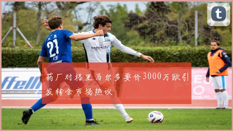 药厂对格里马尔多要价3000万欧引发转会市场热议