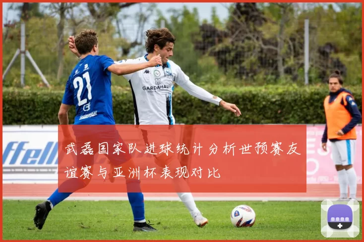 武磊国家队进球统计分析世预赛友谊赛与亚洲杯表现对比